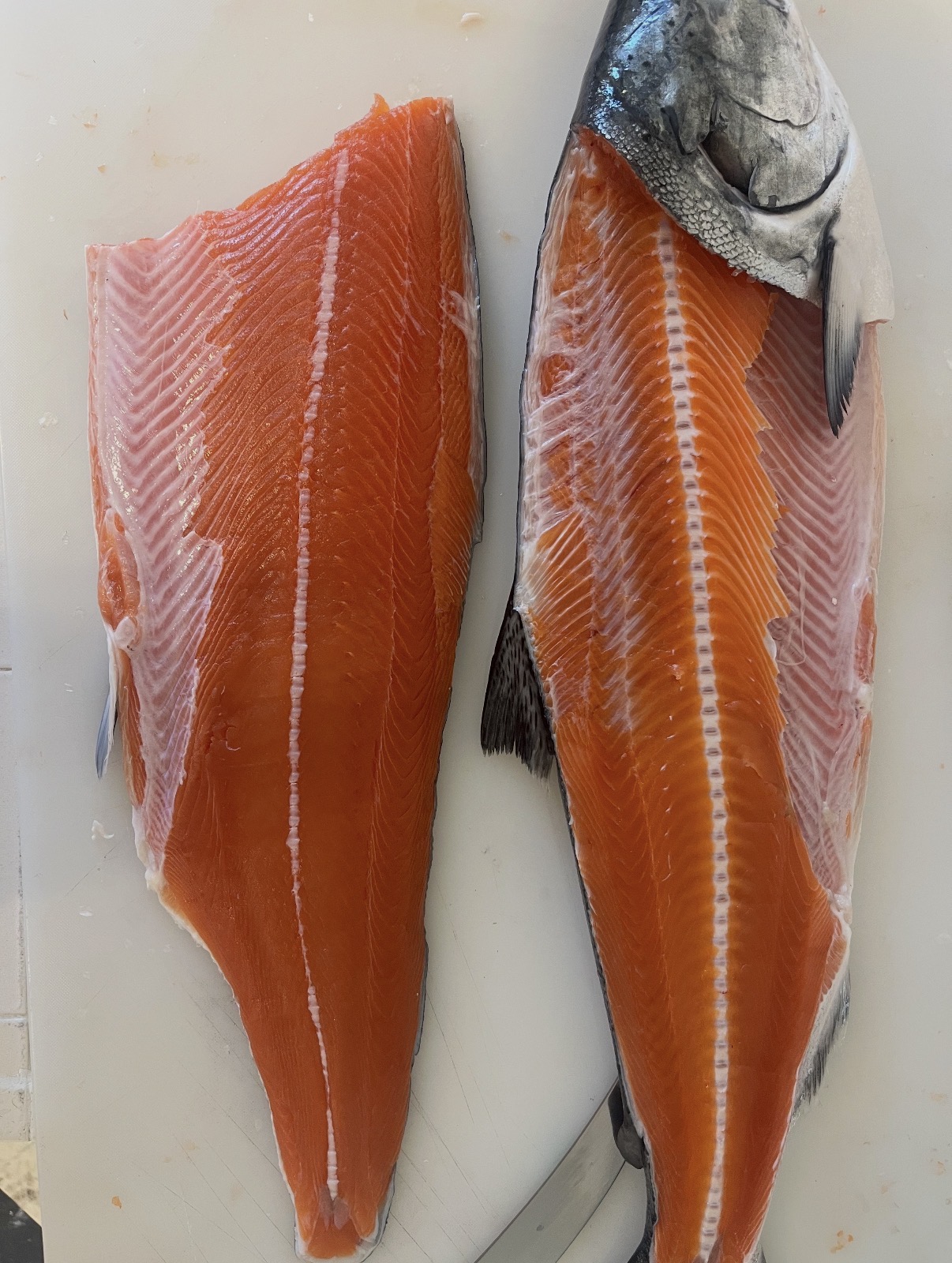 King Salmon Fillets